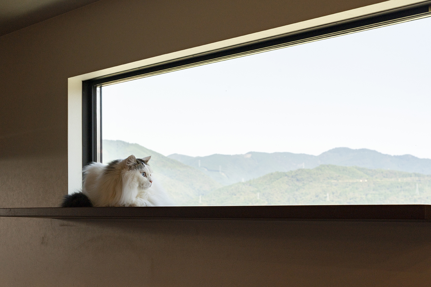 写真4