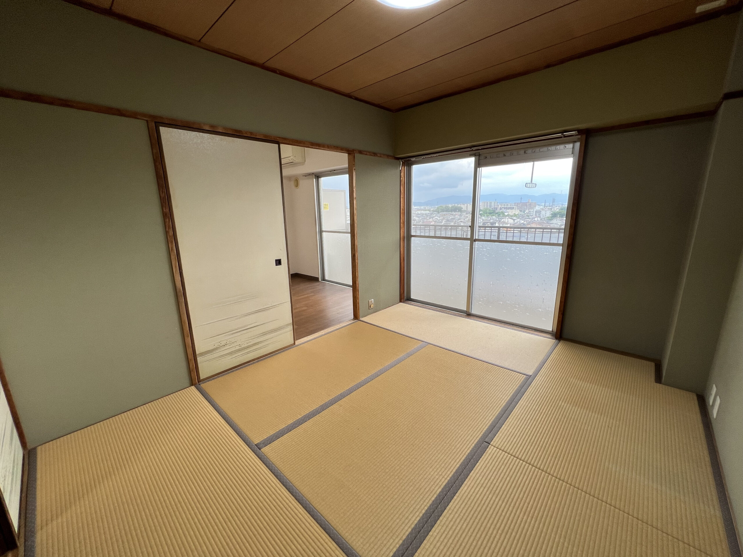 写真2