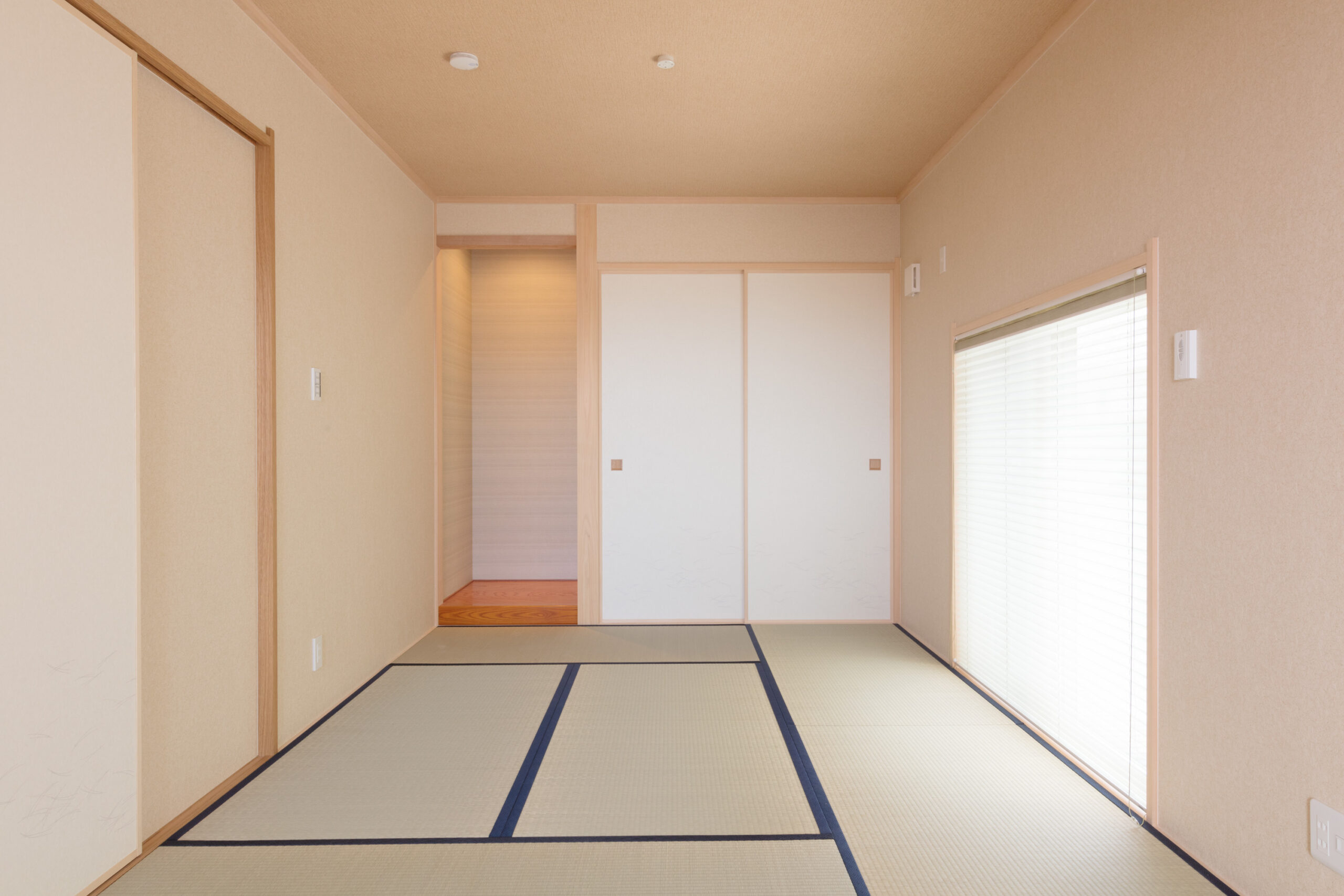 写真5